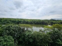 Blk 476C Hougang Capeview (Hougang), HDB 5 Rooms #463255821